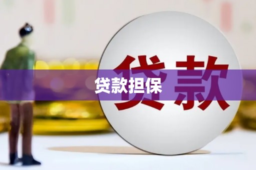 册亨贷款担保
