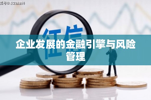 册亨企业发展的金融引擎与风险管理