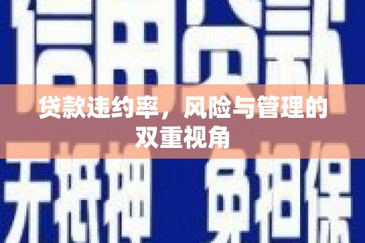 册亨贷款违约率，风险与管理的双重视角