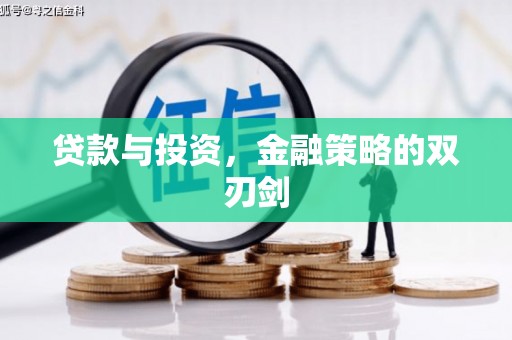 册亨贷款与投资，金融策略的双刃剑
