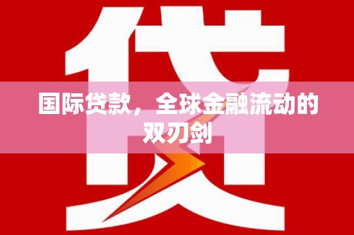 册亨国际贷款，全球金融流动的双刃剑