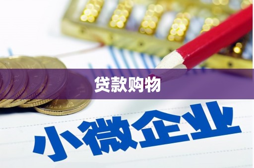 册亨贷款购物