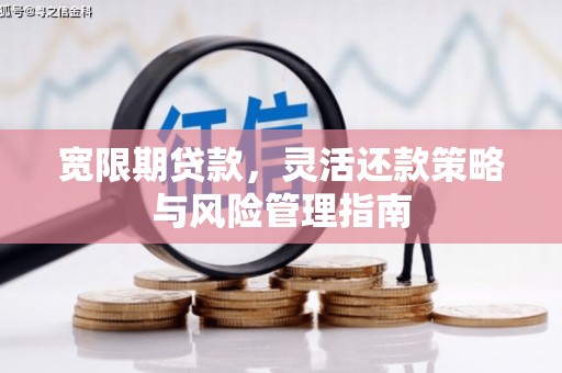 册亨宽限期贷款，灵活还款策略与风险管理指南