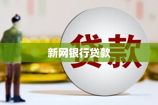 册亨新网银行贷款