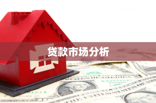 册亨贷款市场分析