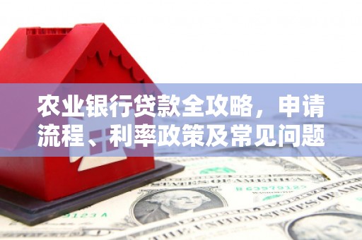 册亨农业银行贷款全攻略，申请流程、利率政策及常见问题解析