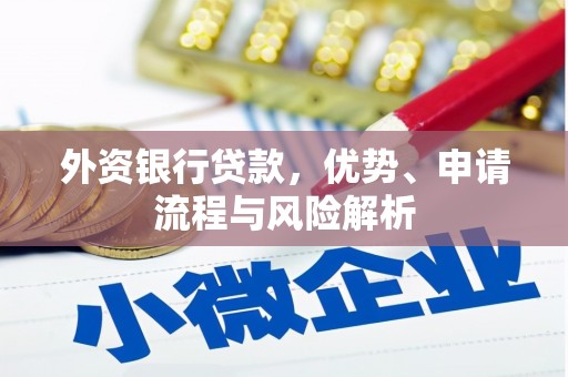 册亨外资银行贷款，优势、申请流程与风险解析