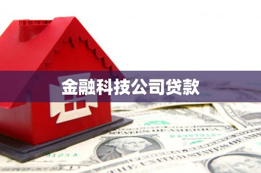 册亨金融科技公司贷款