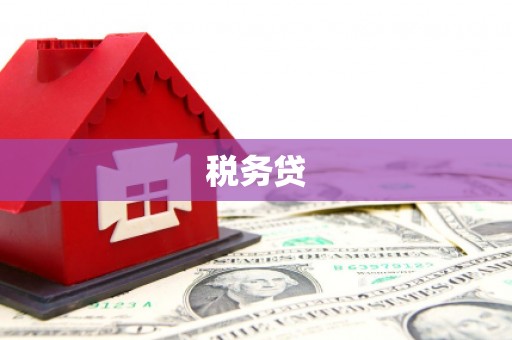 册亨税务贷