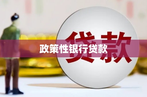 册亨政策性银行贷款