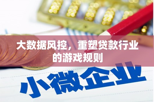 册亨大数据风控，重塑贷款行业的游戏规则