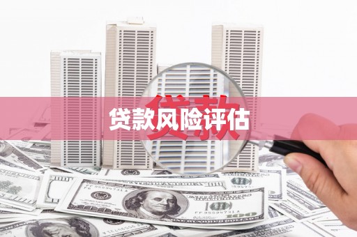 册亨贷款风险评估