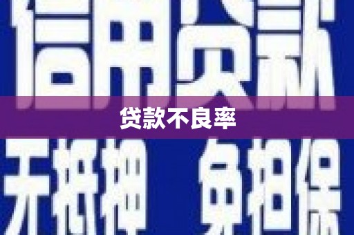 册亨贷款不良率