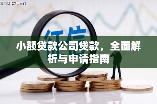 册亨小额贷款公司贷款，全面解析与申请指南