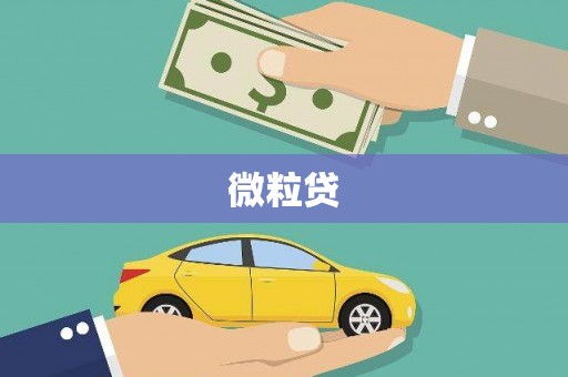 册亨微粒贷