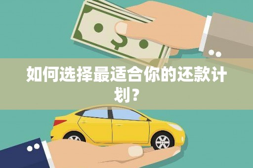 册亨如何选择最适合你的还款计划？