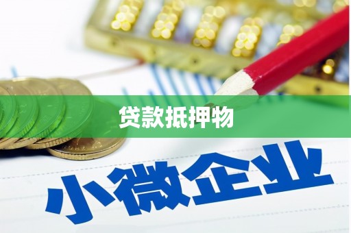 册亨贷款抵押物