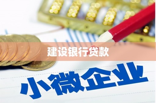 册亨建设银行贷款