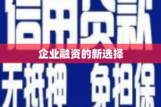 册亨企业融资的新选择