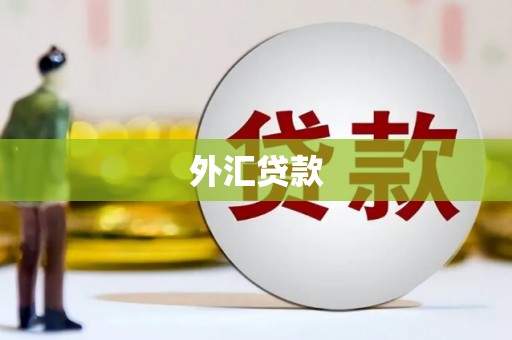册亨外汇贷款