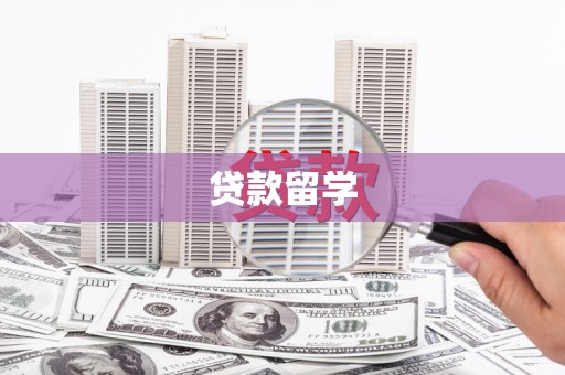 册亨贷款留学