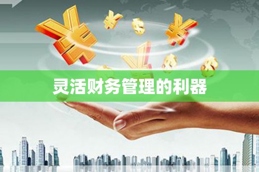册亨灵活财务管理的利器