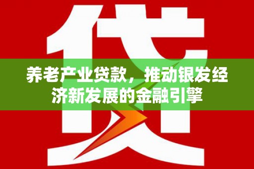 册亨养老产业贷款，推动银发经济新发展的金融引擎
