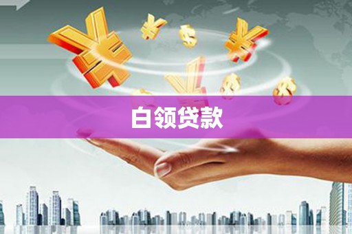册亨白领贷款