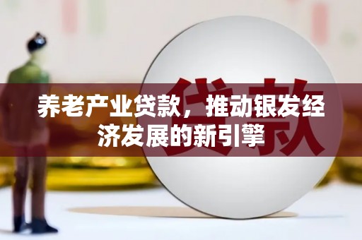 册亨养老产业贷款，推动银发经济发展的新引擎