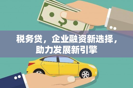册亨税务贷，企业融资新选择，助力发展新引擎