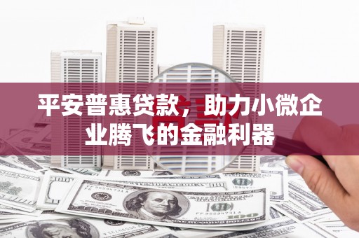 册亨平安普惠贷款，助力小微企业腾飞的金融利器