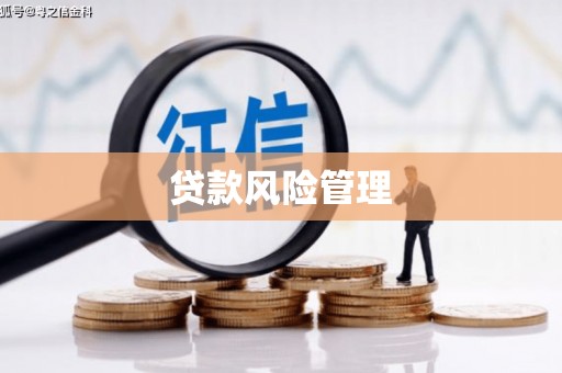 册亨贷款风险管理