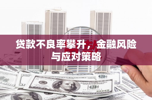 册亨贷款不良率攀升，金融风险与应对策略