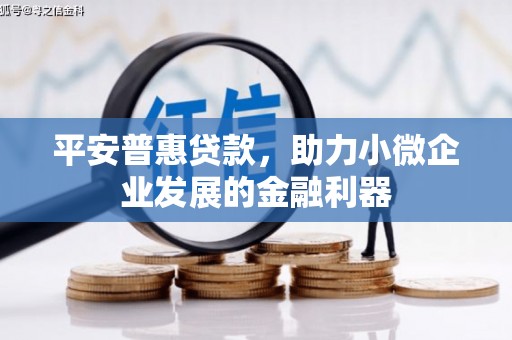 册亨平安普惠贷款，助力小微企业发展的金融利器
