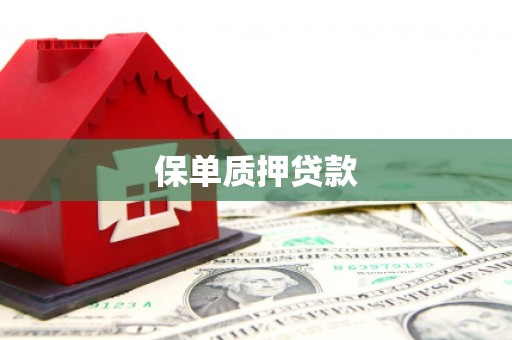 册亨保单质押贷款