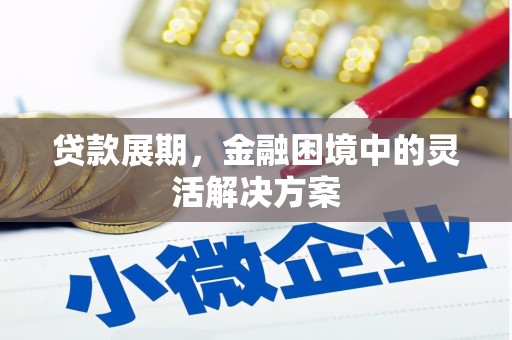 册亨贷款展期，金融困境中的灵活解决方案