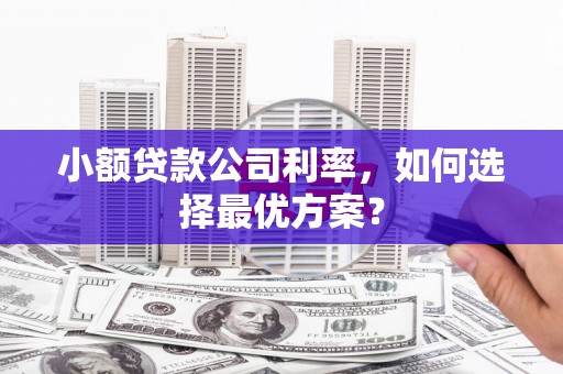 册亨小额贷款公司利率，如何选择最优方案？