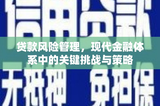 册亨贷款风险管理，现代金融体系中的关键挑战与策略