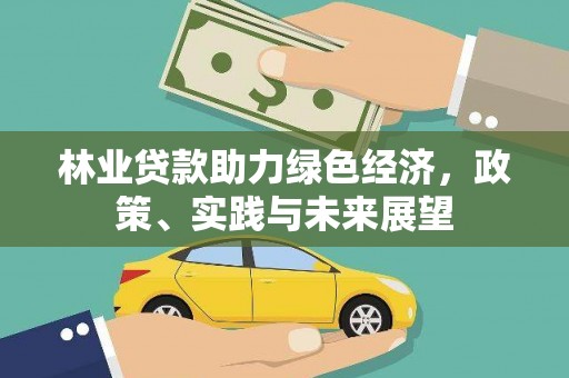 册亨林业贷款助力绿色经济，政策、实践与未来展望