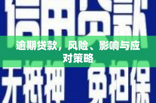 册亨逾期贷款，风险、影响与应对策略