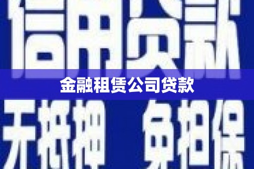 册亨金融租赁公司贷款