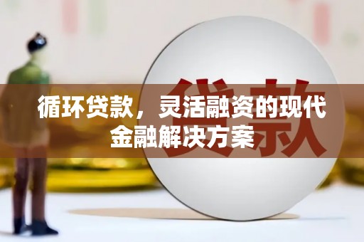 册亨循环贷款，灵活融资的现代金融解决方案