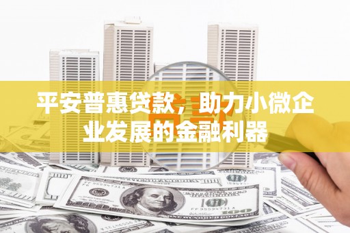 册亨平安普惠贷款，助力小微企业发展的金融利器