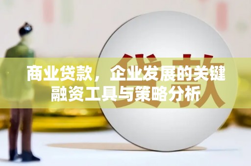 册亨商业贷款，企业发展的关键融资工具与策略分析