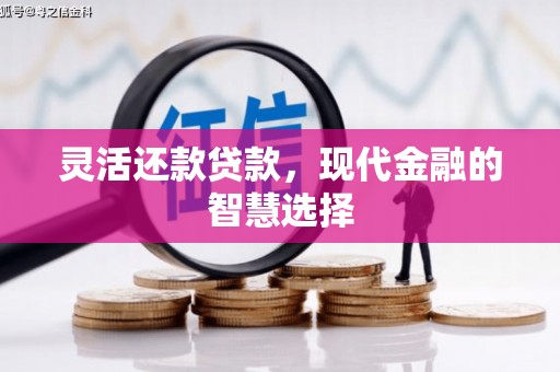 册亨灵活还款贷款，现代金融的智慧选择