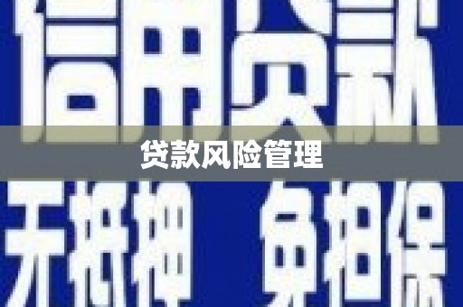 册亨贷款风险管理