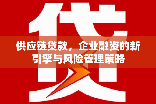 册亨供应链贷款，企业融资的新引擎与风险管理策略