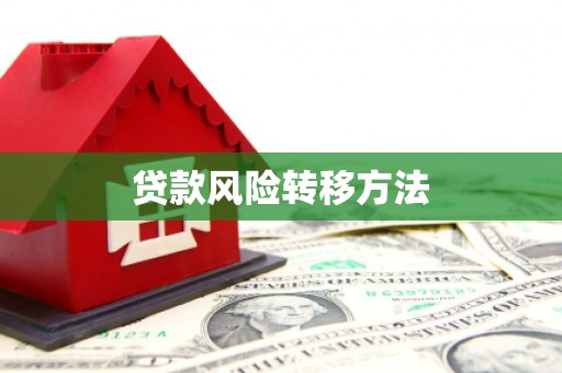 册亨贷款风险转移方法
