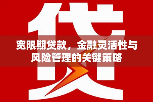 册亨宽限期贷款，金融灵活性与风险管理的关键策略