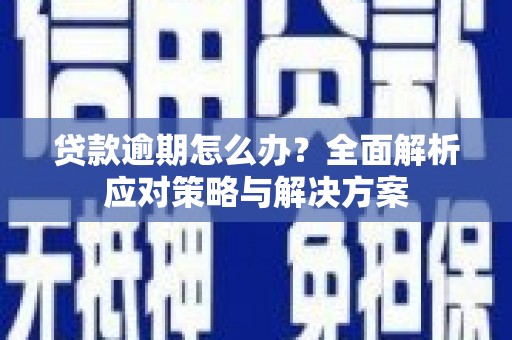 册亨贷款逾期怎么办？全面解析应对策略与解决方案